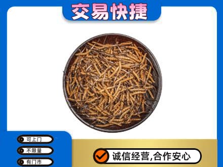 鹰潭回收散虫草